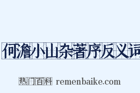 何澹小山杂著序反义词是什么意思的图片